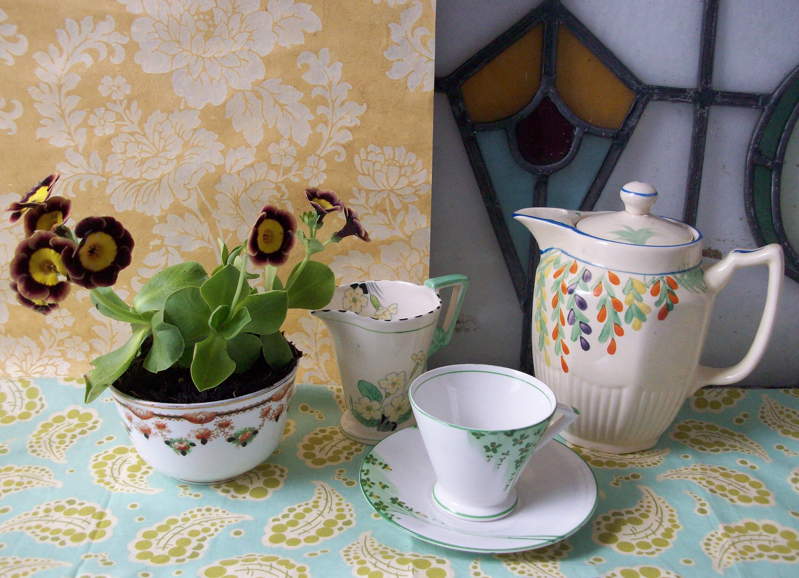Auricula still life.