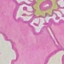Close up detail of Cherries