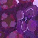 Close up detail of Lilacs