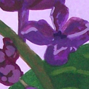 Close up detail of Lilacs
