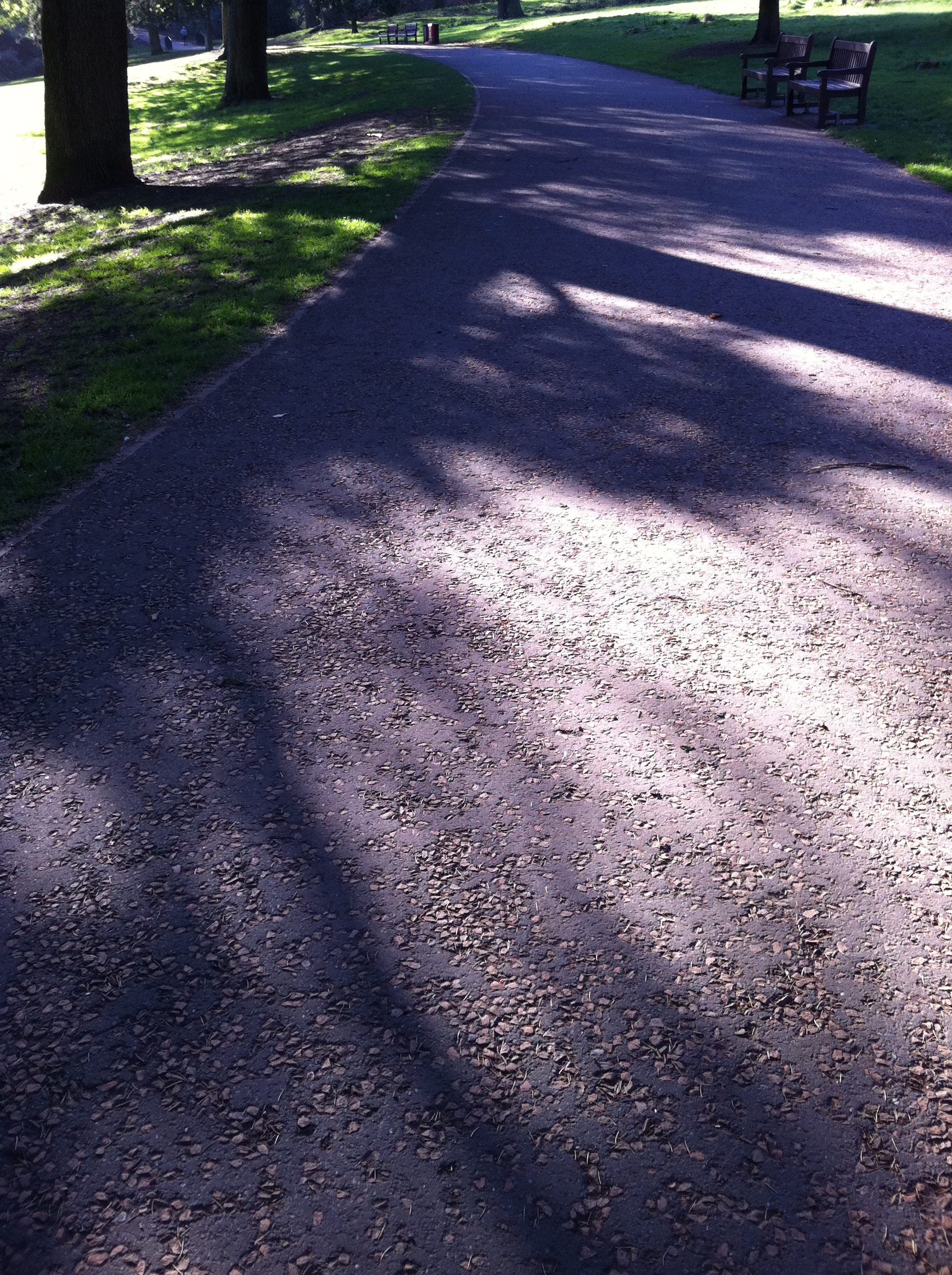 shadow_on_pathway_IMG_1450 shadow_on_pathway