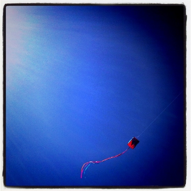 Kite_IMG_1971