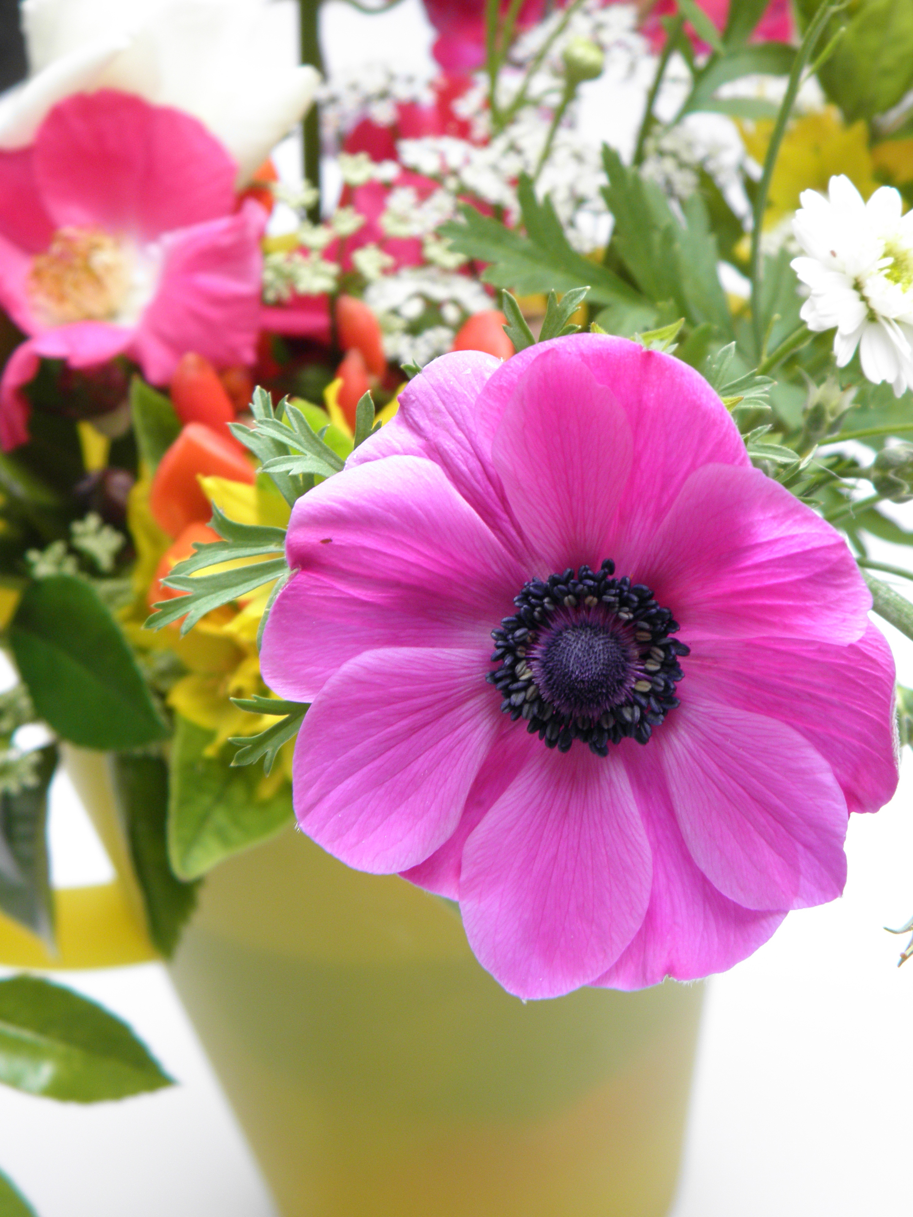 garden_flowers-P6160010