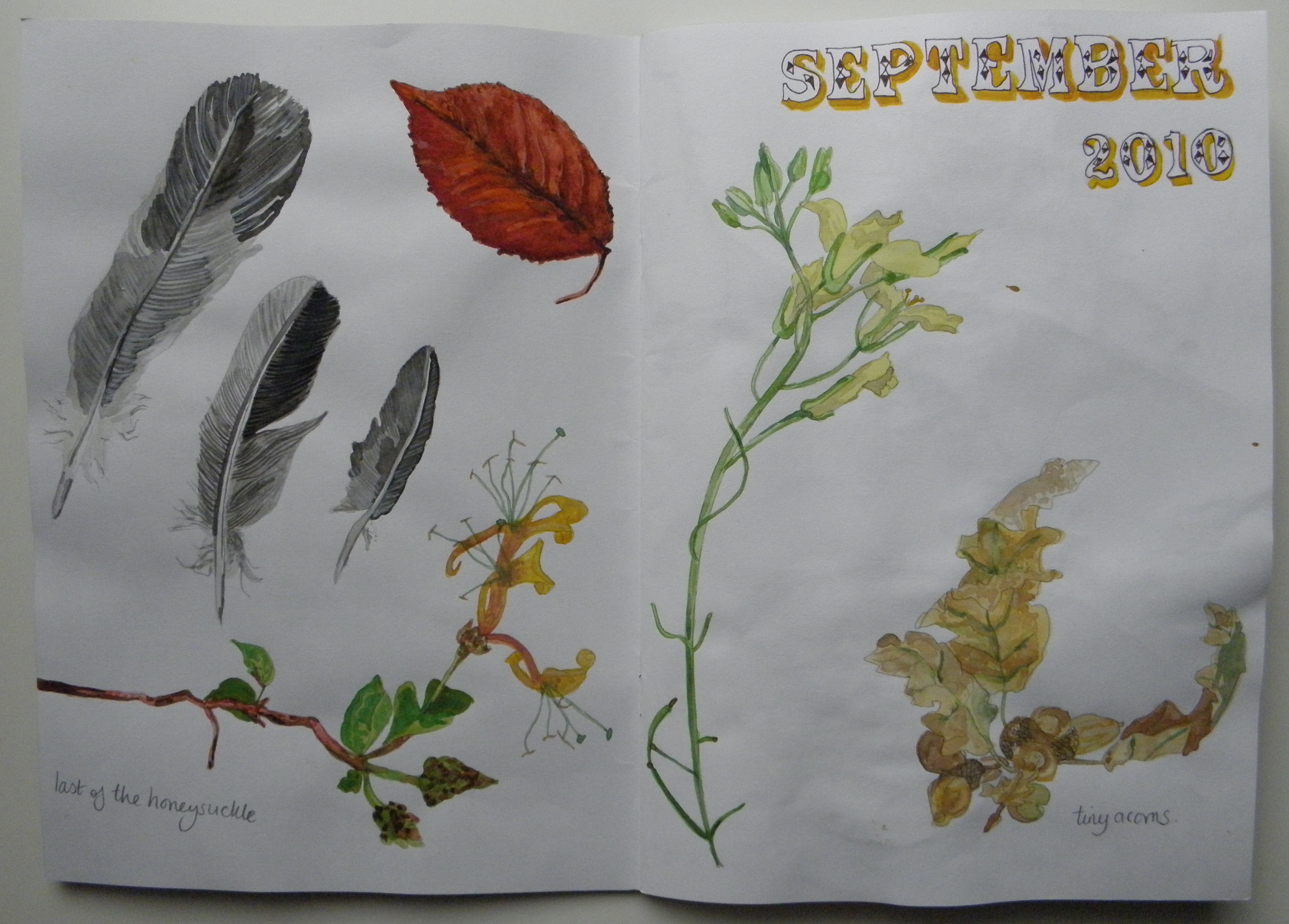 sketchbook_sept_P7150008