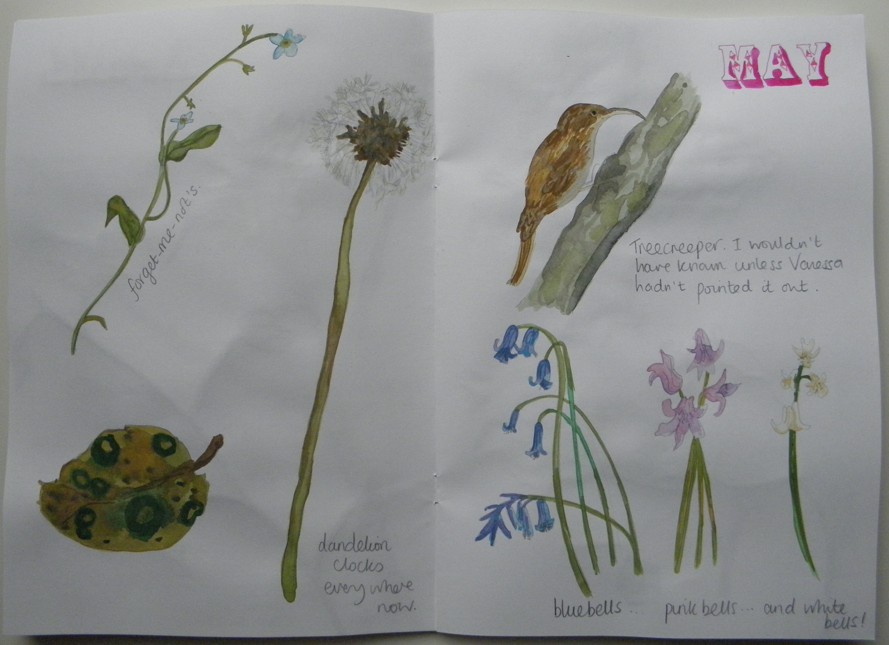 sketchbook_may_P7150016