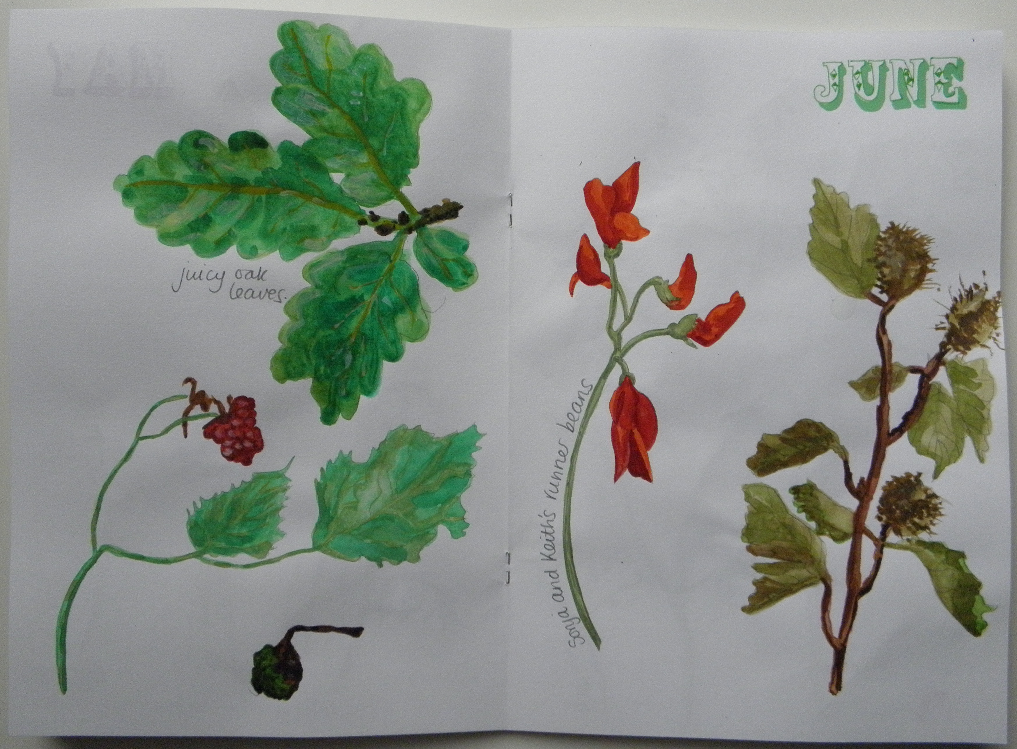 sketchbook_june_P7150017