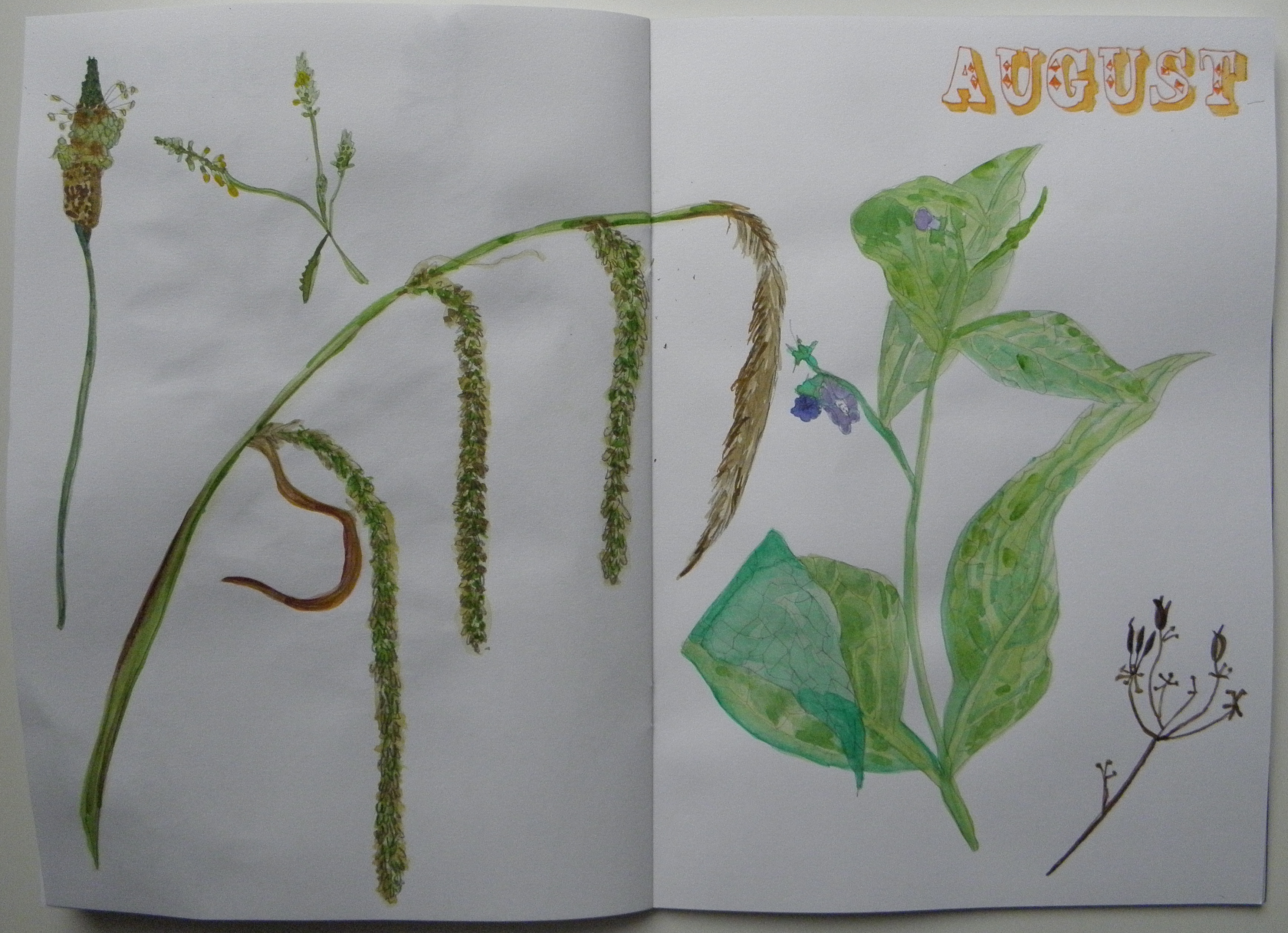 sketchbook_aug_P7150019