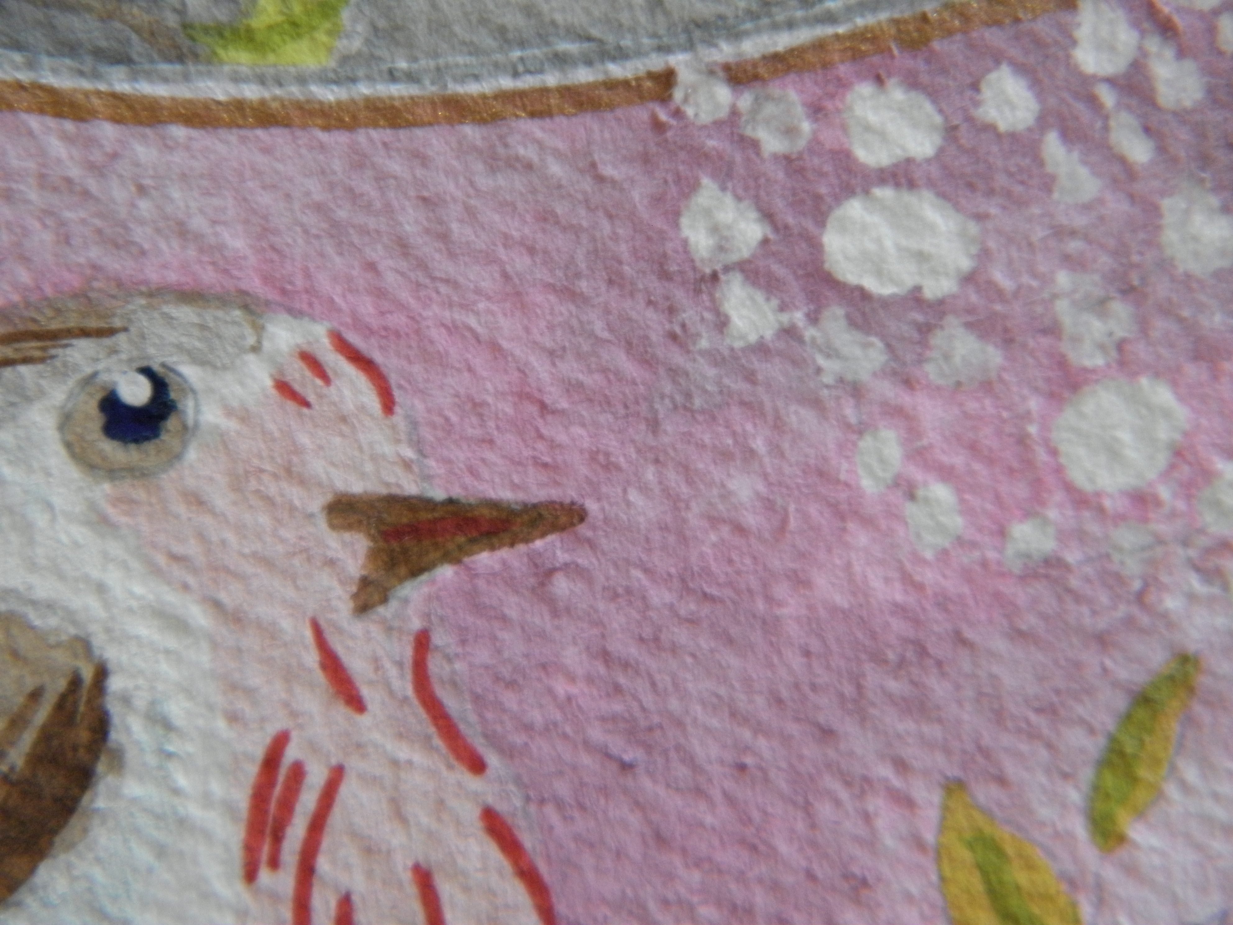 Pip_closeup