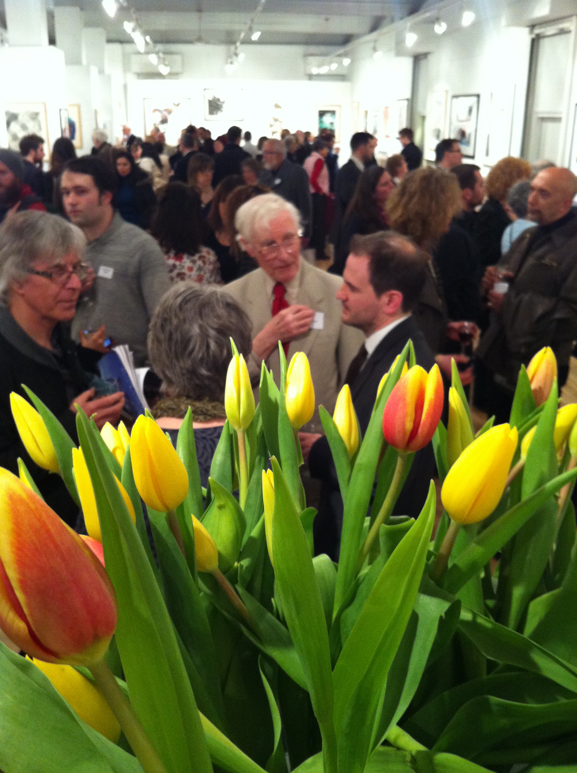 RWS_private_view_Feb_2012