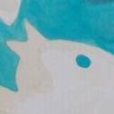 Close up detail of Daffodils