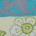 Close up detail of Daffodils