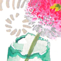 Close up detail of Bellis