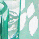 Close up detail of Bellis