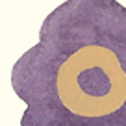 Close up detail of Vanessa Blooms