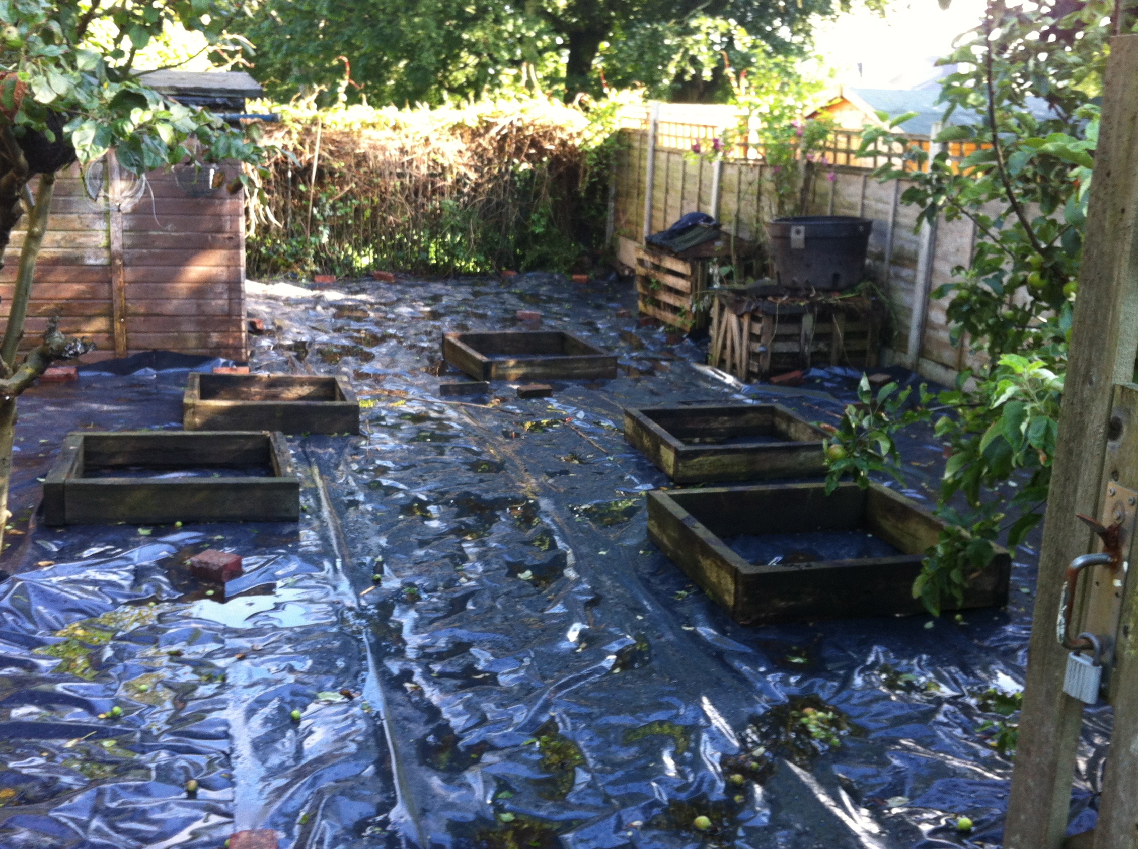 veg_garden_before