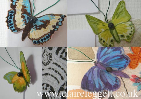 butterflies wmkd