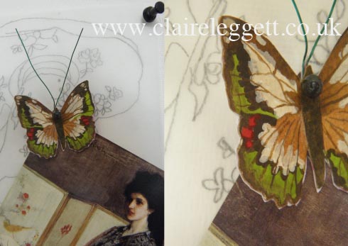 butterfly_1_wmkd_psd