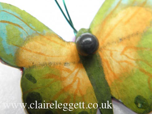 butterfly_macro_wmkd