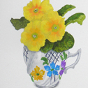 Primula Cups
