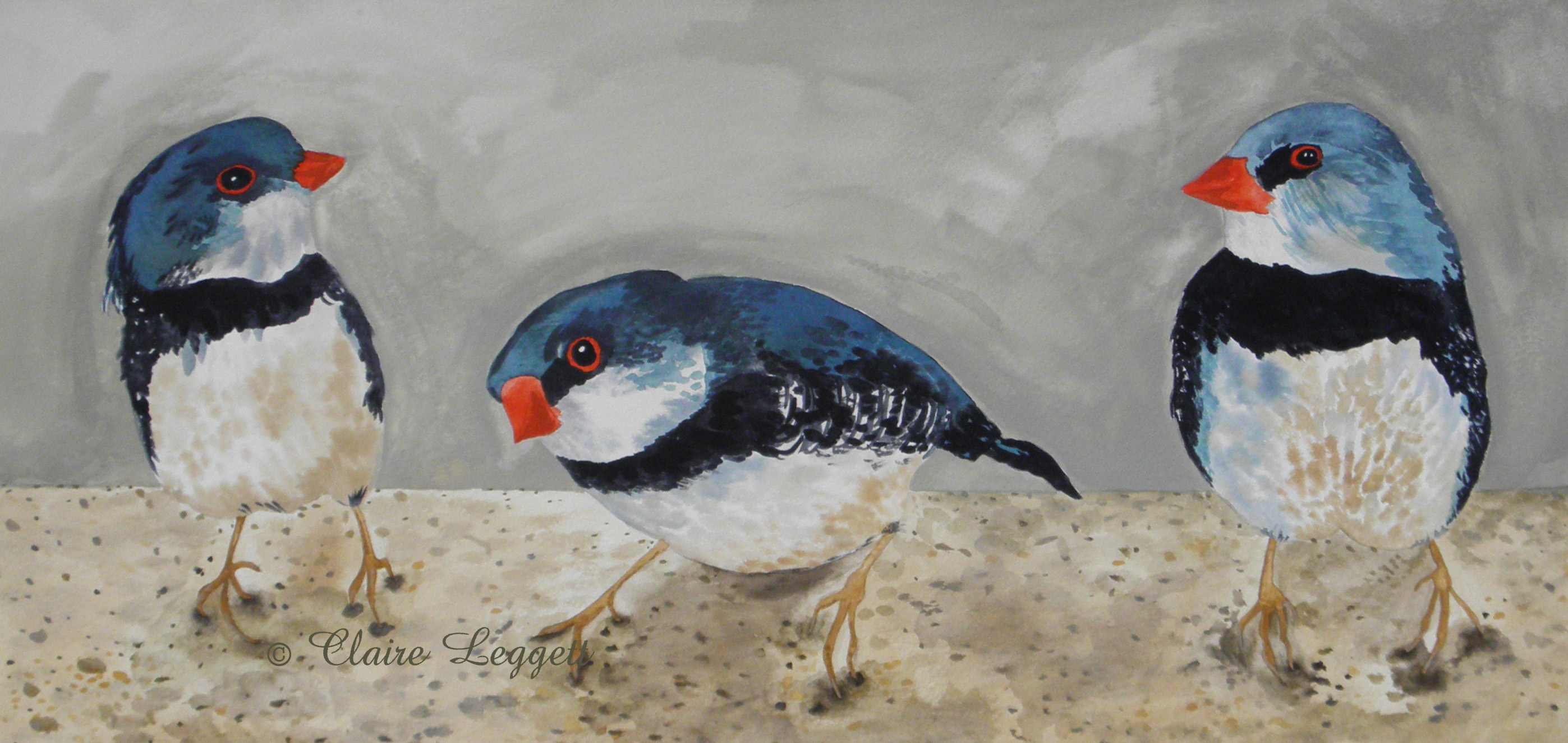 Three Little Birds© Claire Leggett