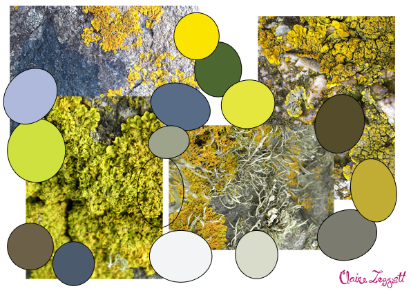 st_ives_colour_board_moss_rocks_A5_72dpi