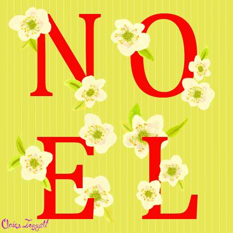 Noel_roses