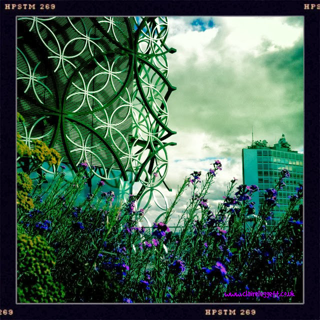 Claire Leggett_Birmingham Library garden corner