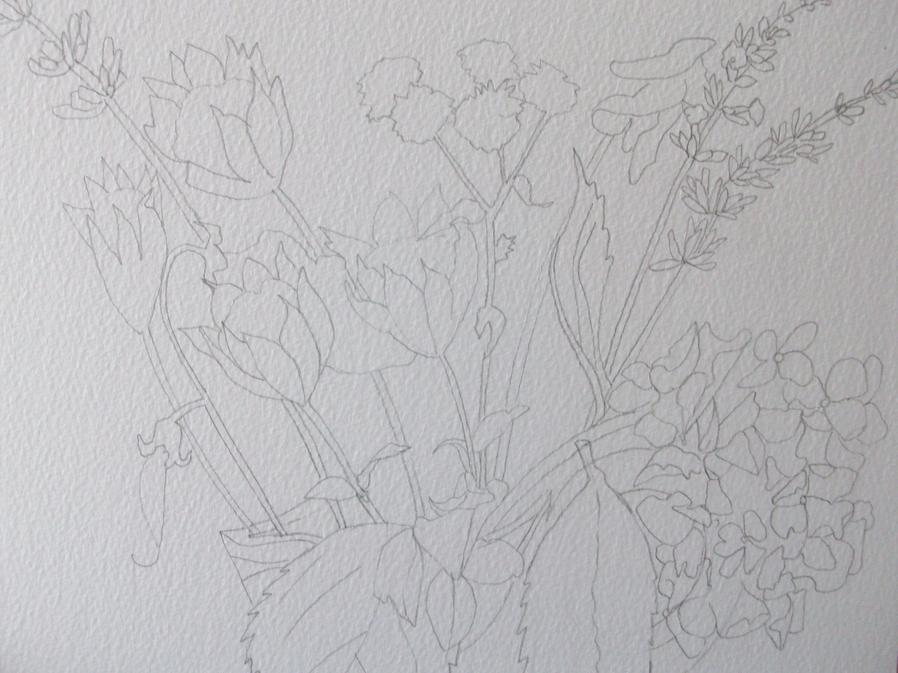 Vanessa's flowers drawing