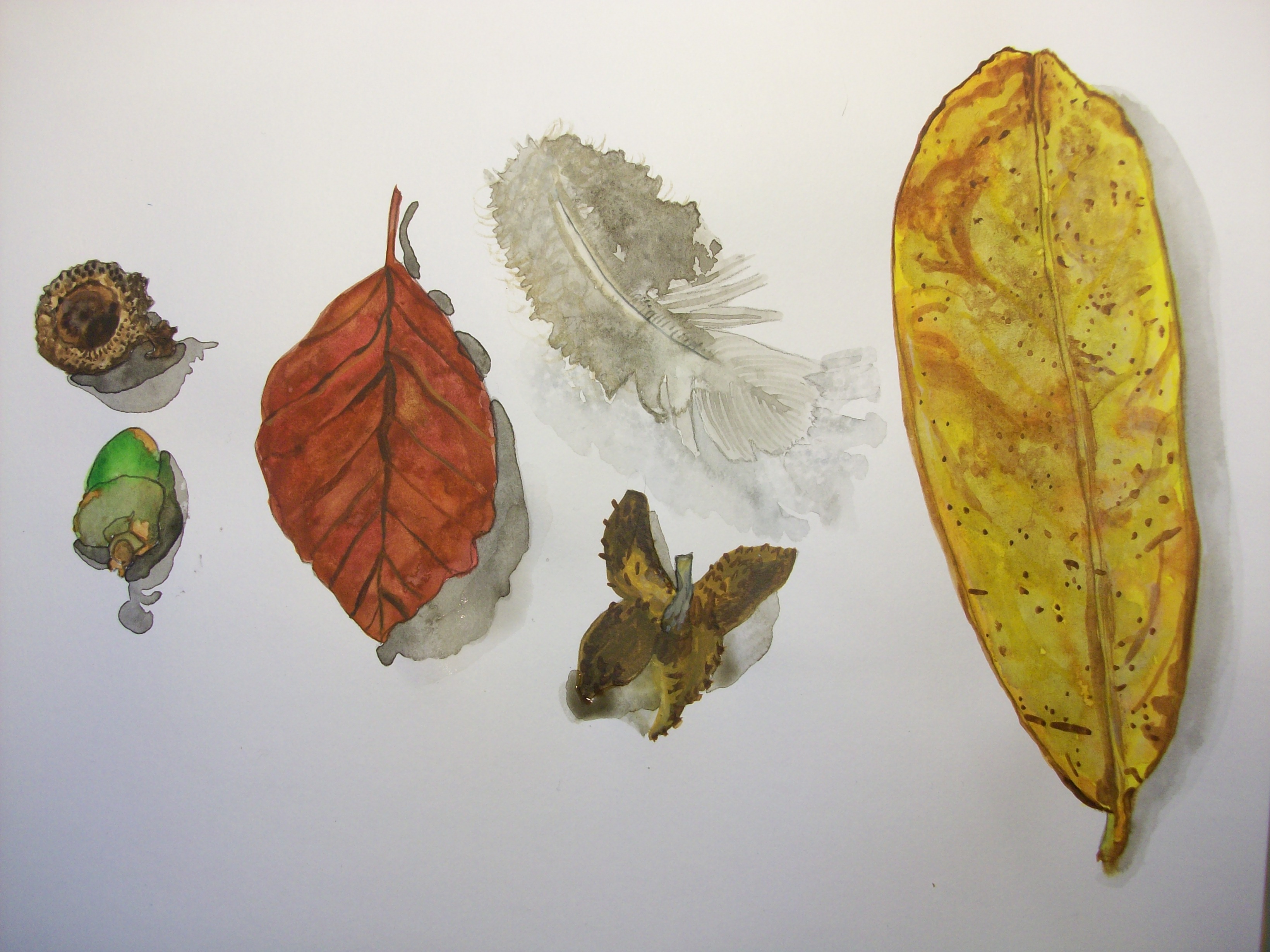 sketchbook painting - field combing