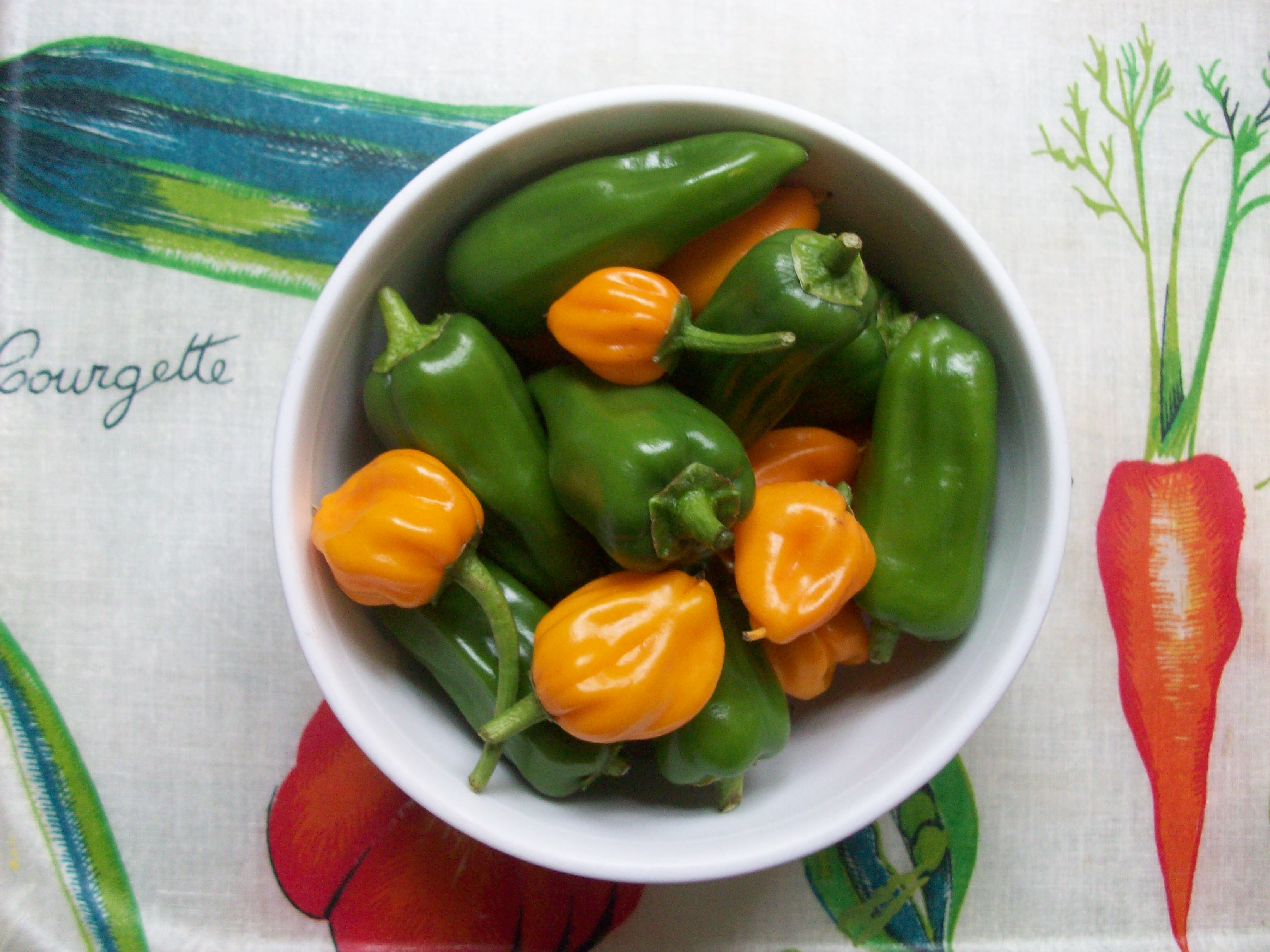 home grown chillies and vintage tray home grown chillies and vintage tray