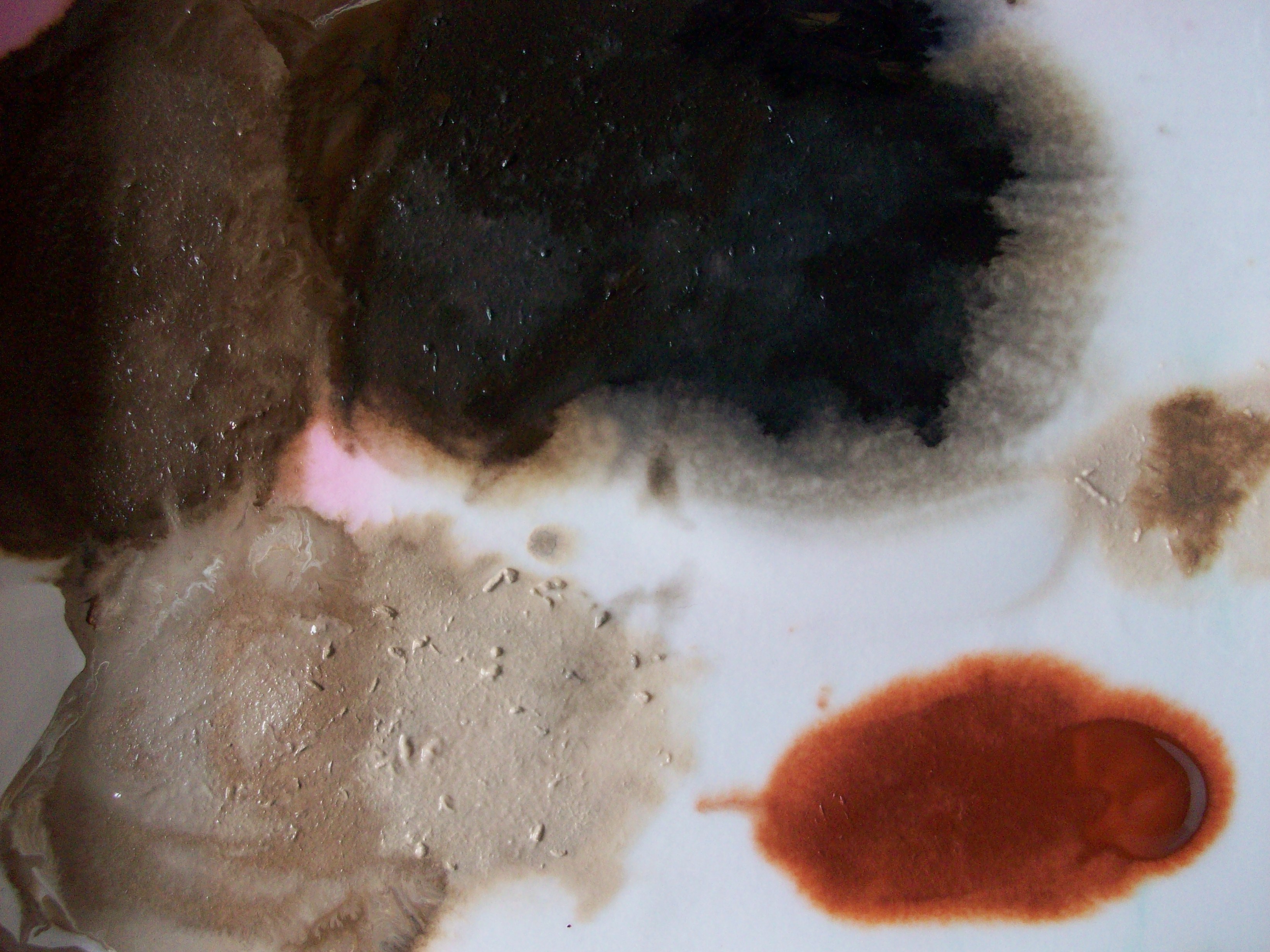 paint palate - browns