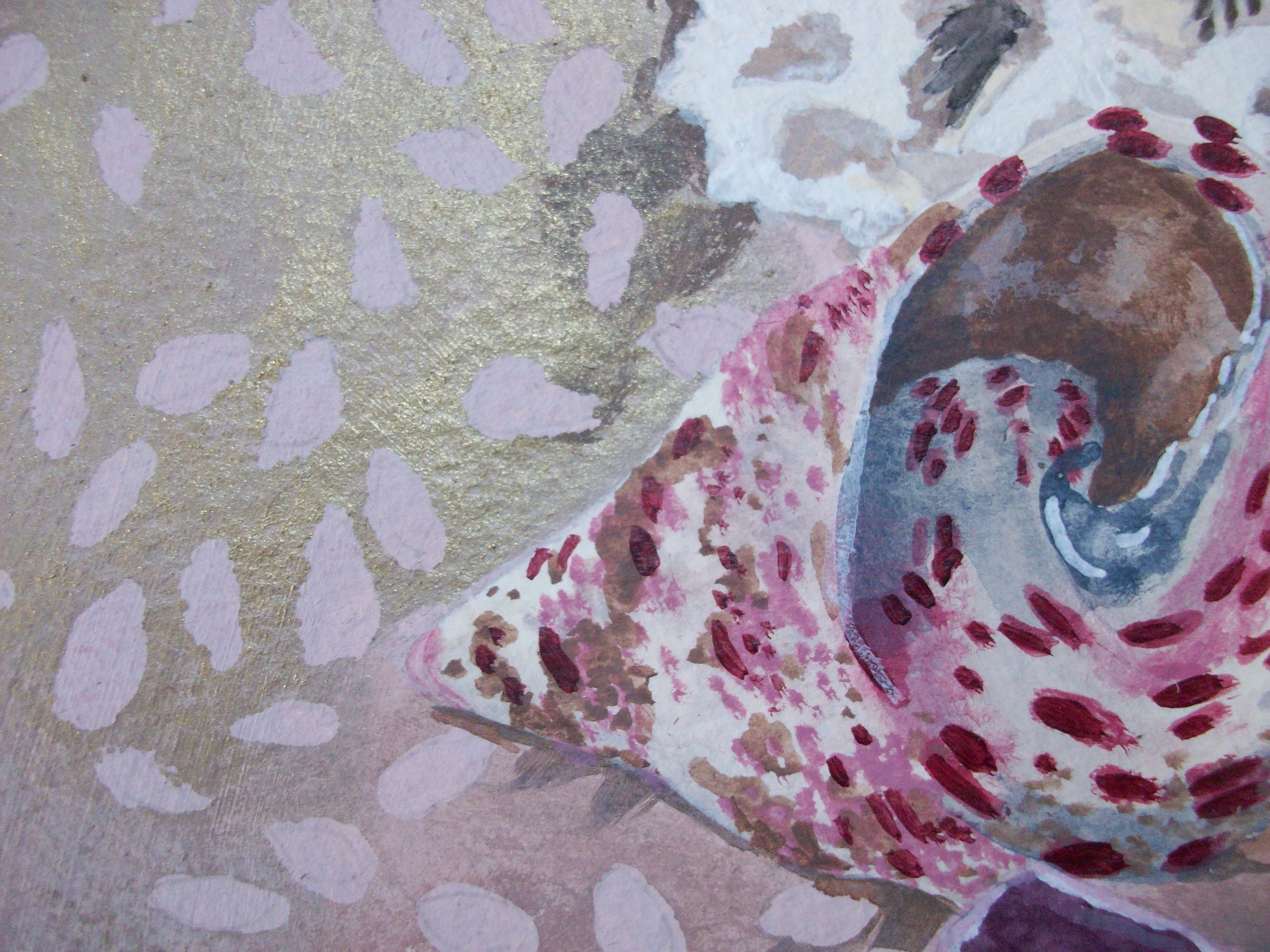 Shell still life - detail