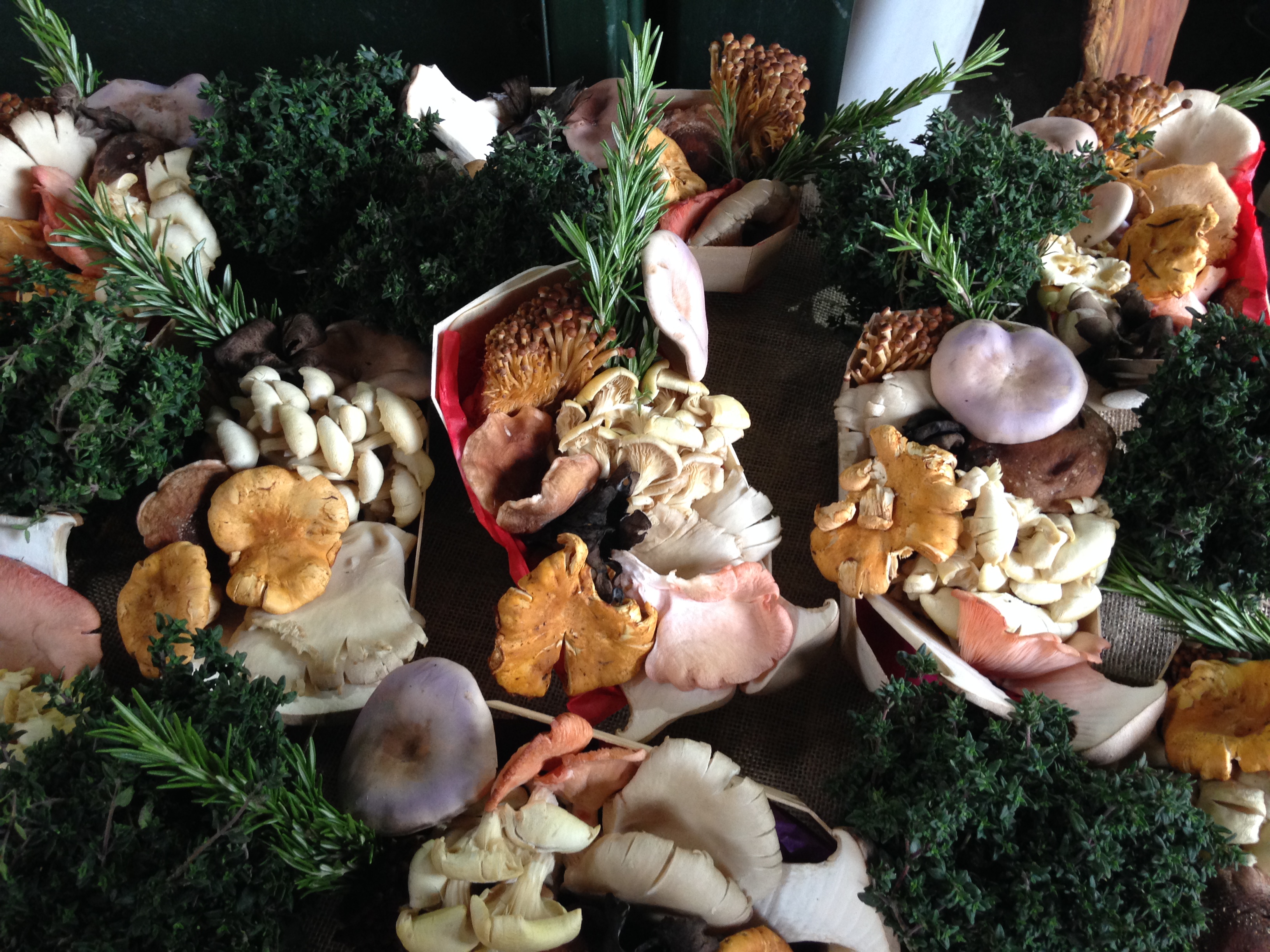 claire_leggett_Borough Market7