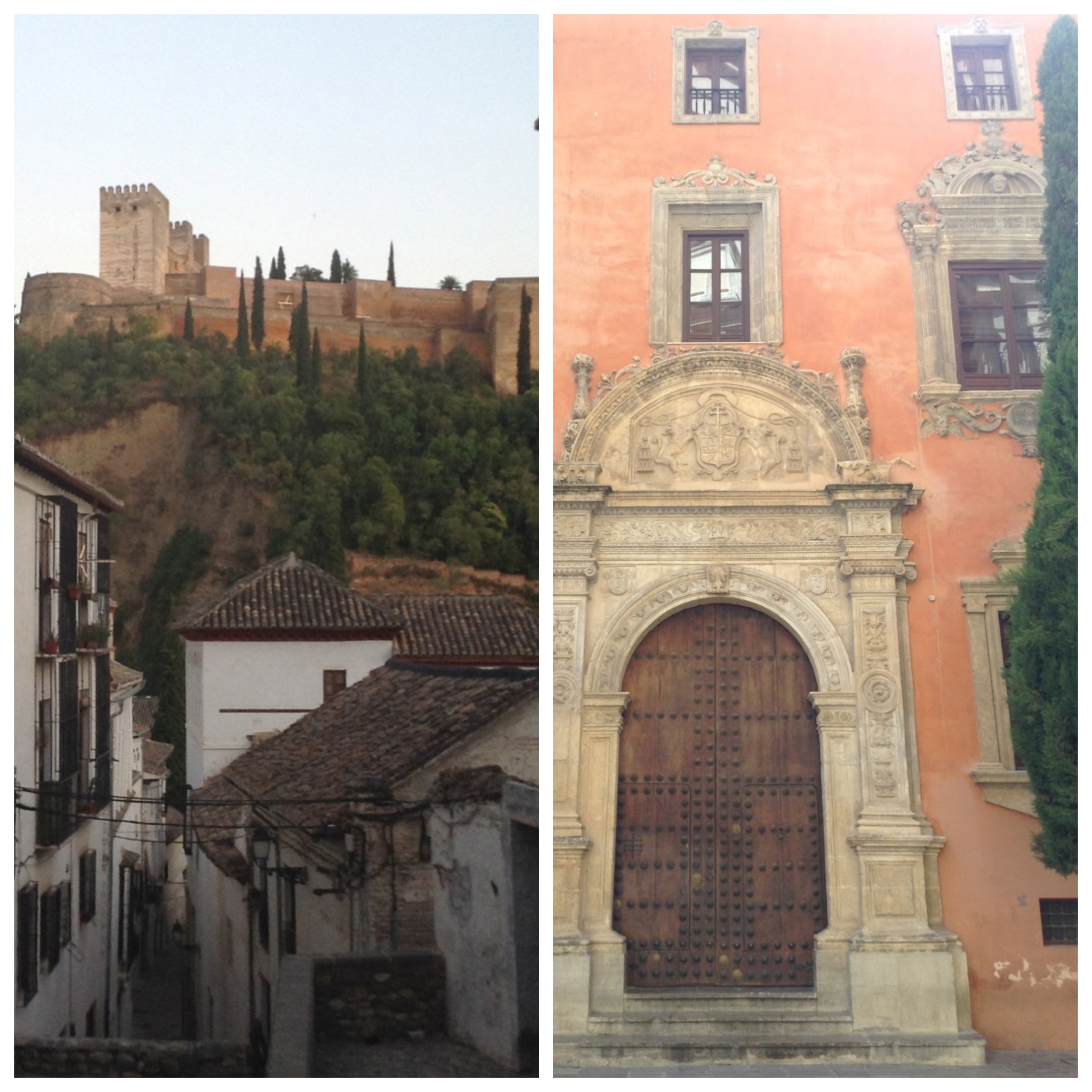 Processed with MOLDIV