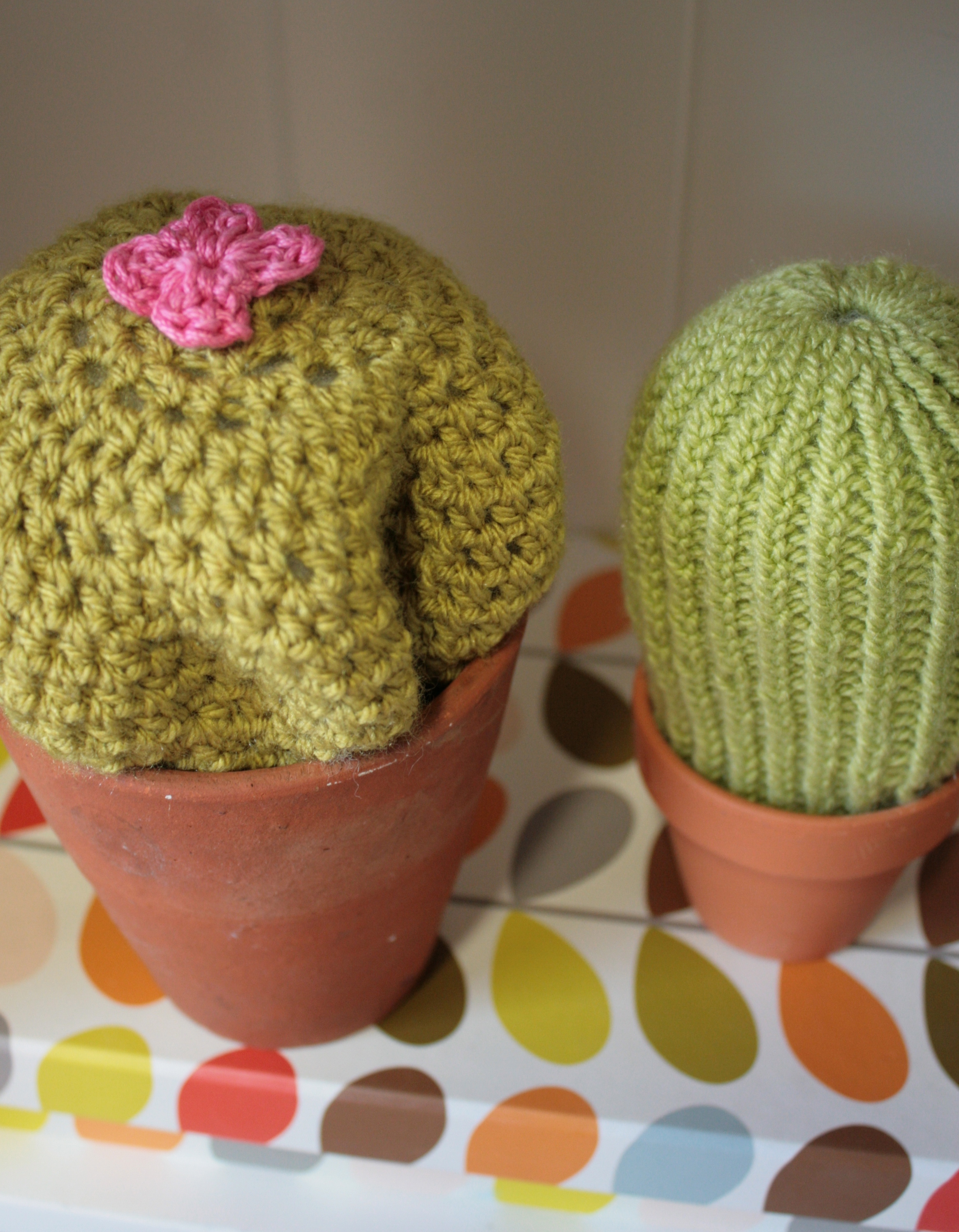 claireleggett_catus 2