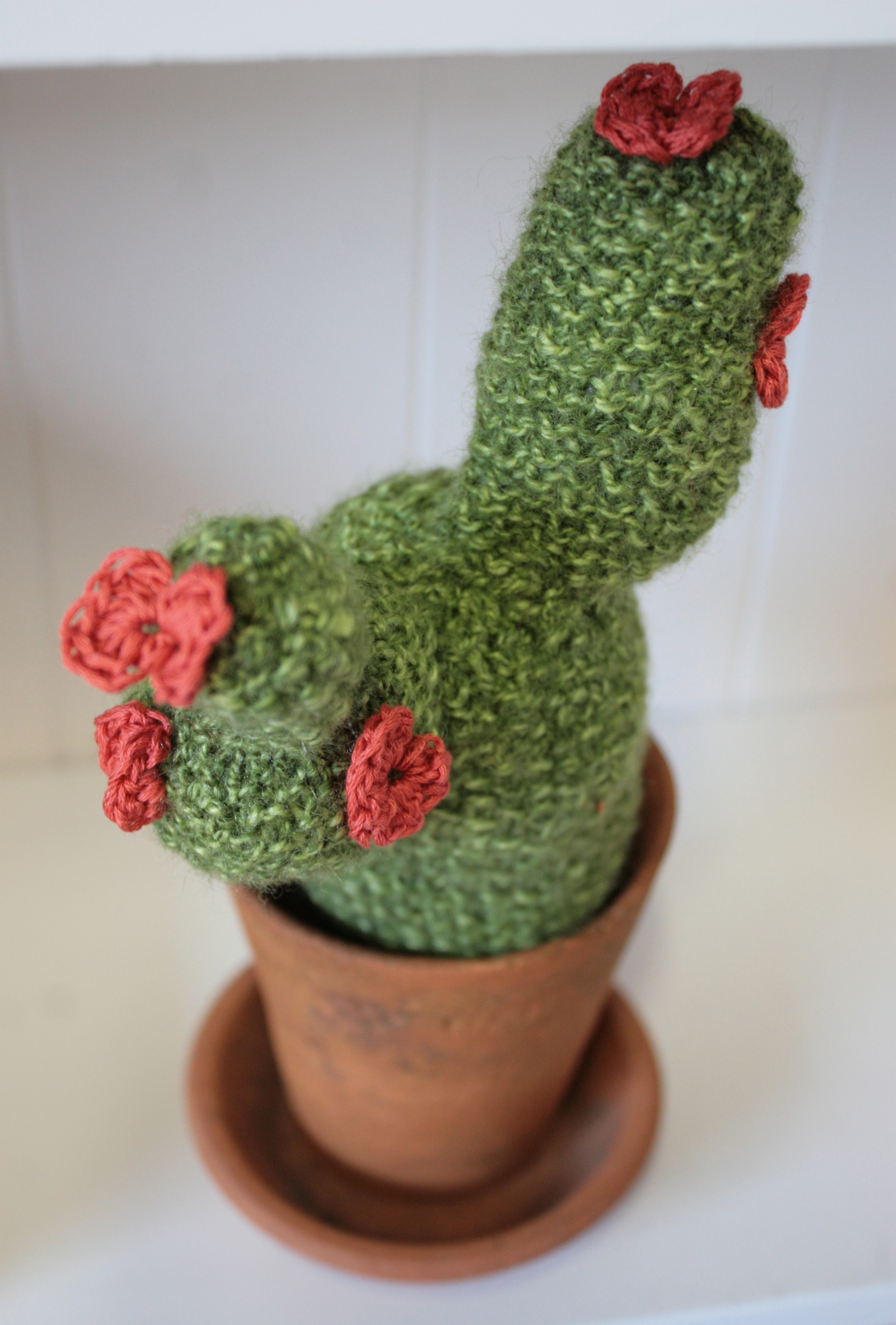 claireleggett_catus 3