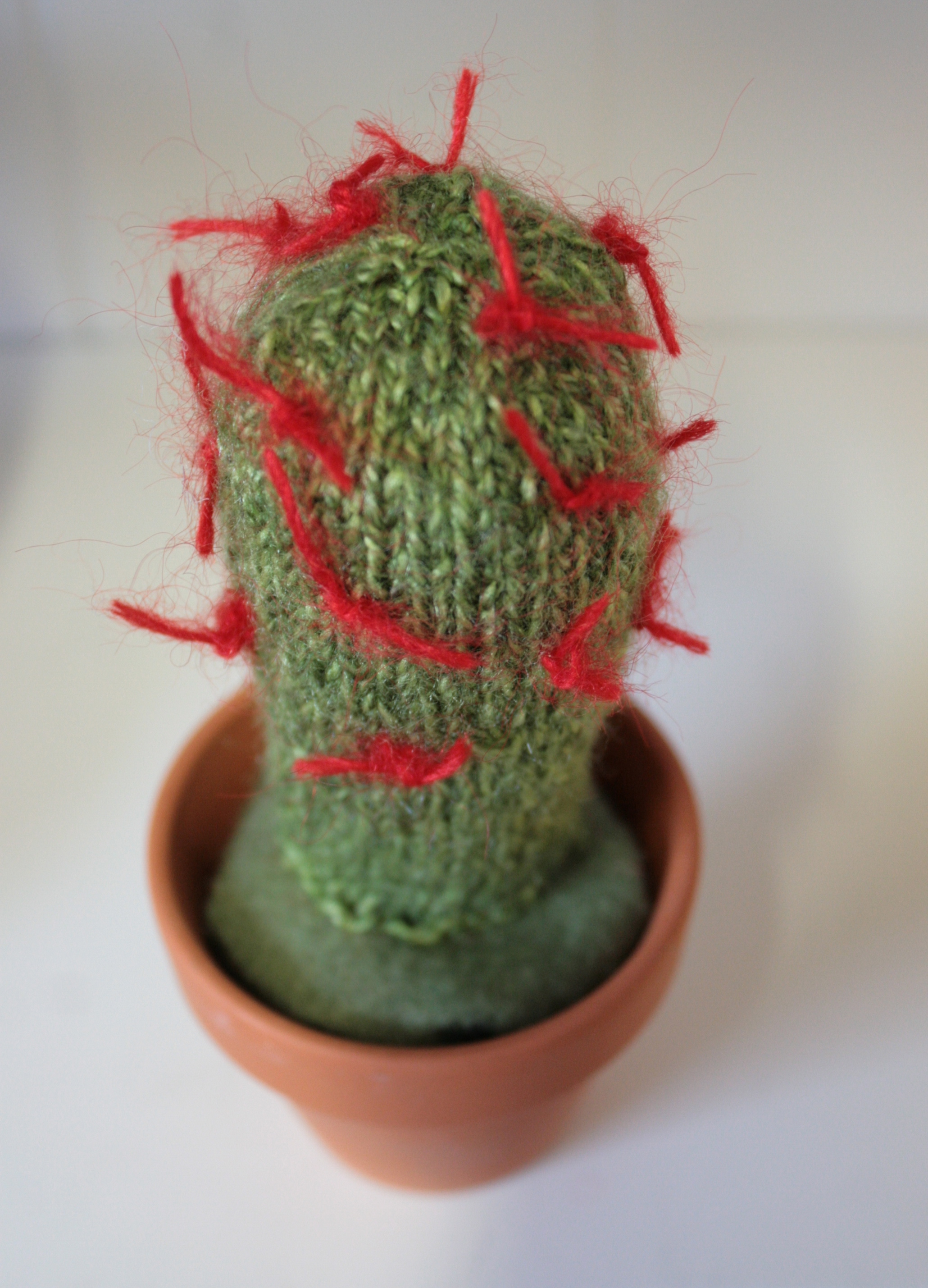 claireleggett_catus 4