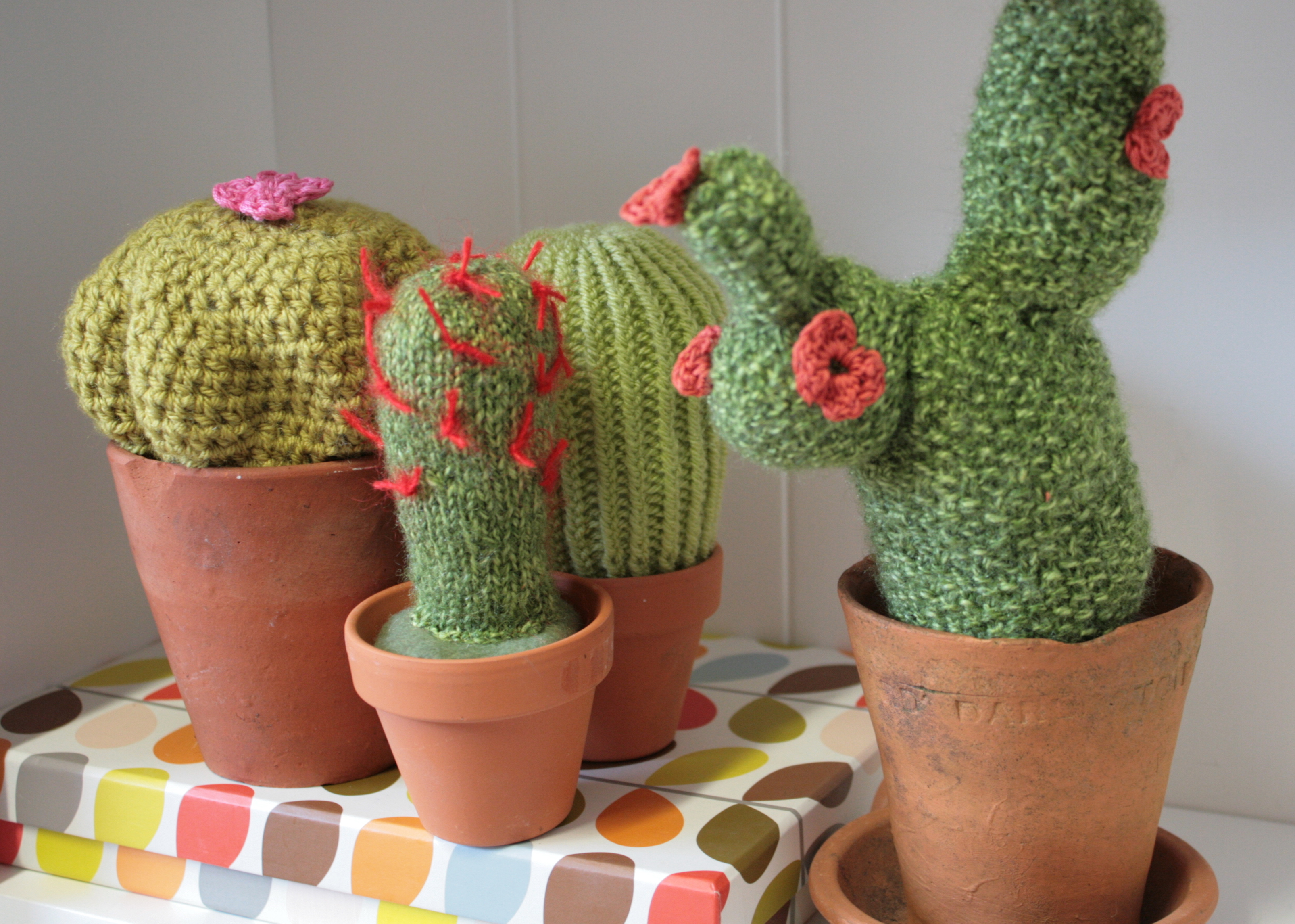 claireleggett_catus 5