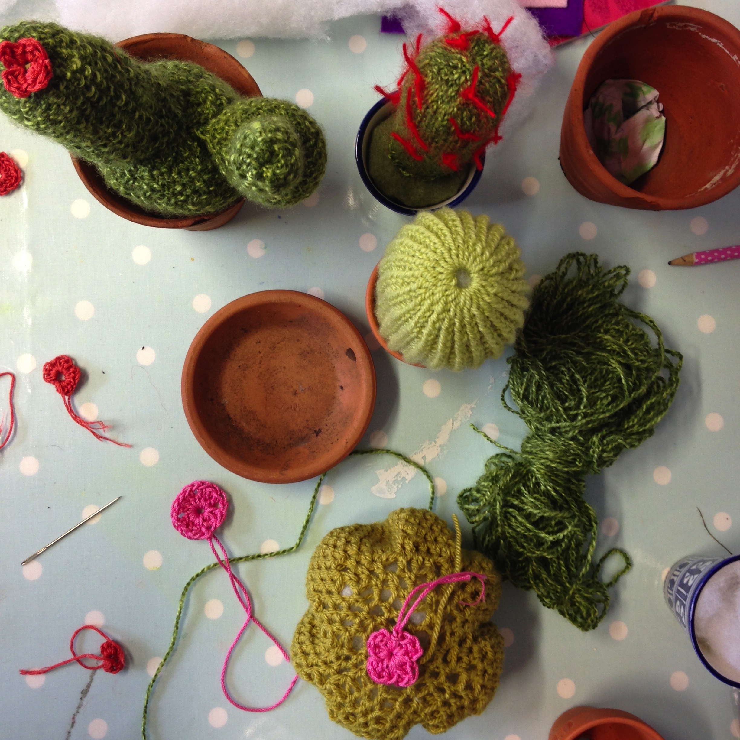 claire_LEggett_cactus