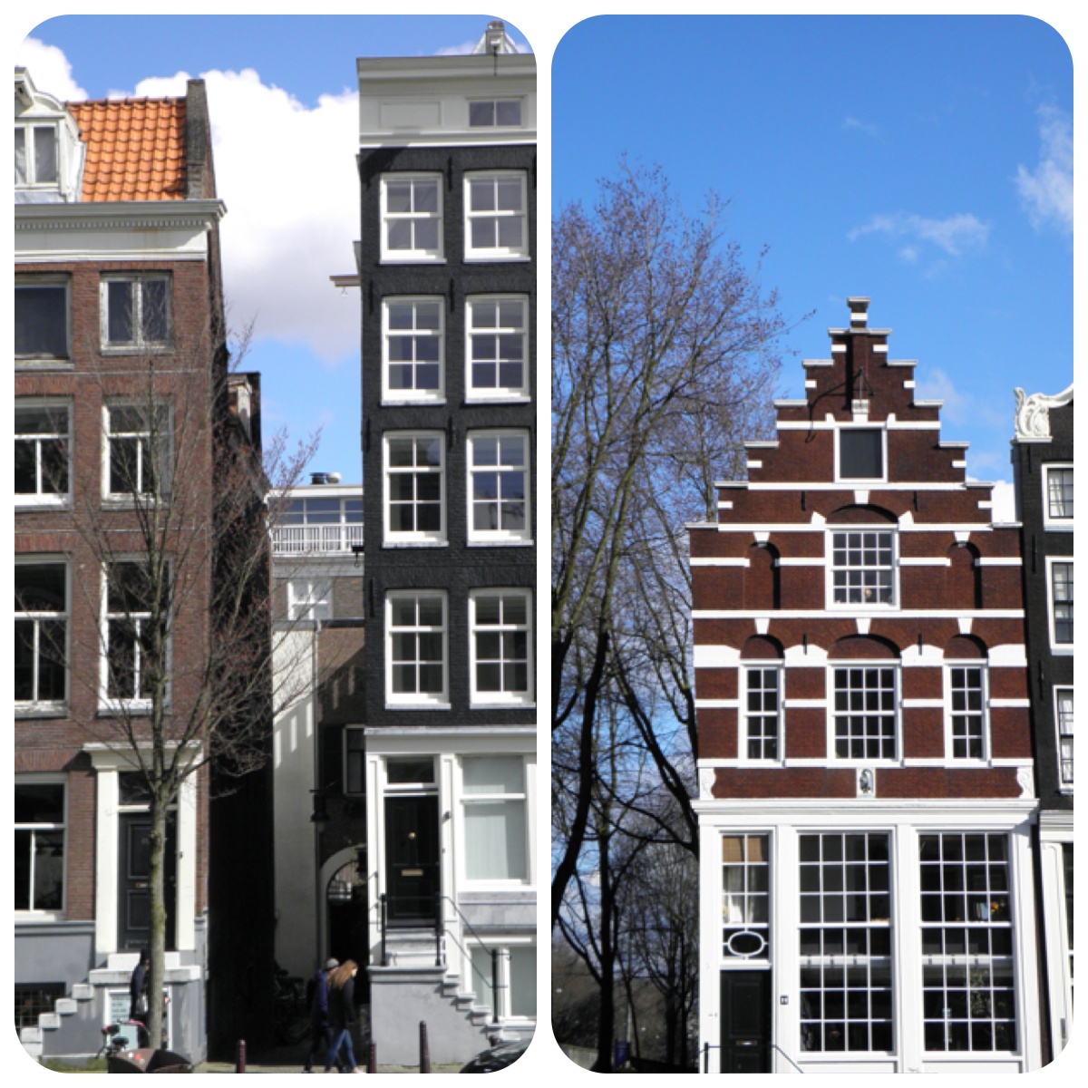 Processed with MOLDIV