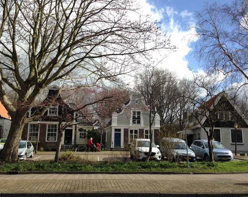 Amsterdam just over the ferry1