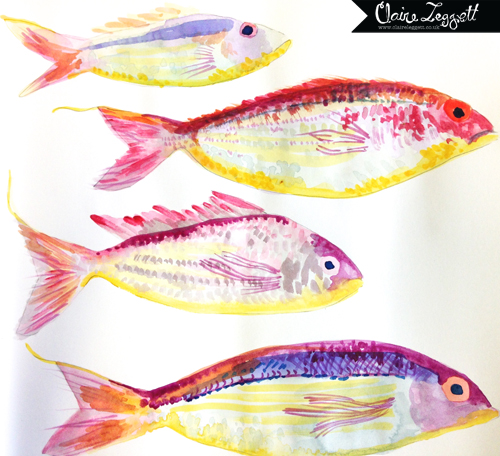 pink_perch_75dpi_tagged_claire_leggett
