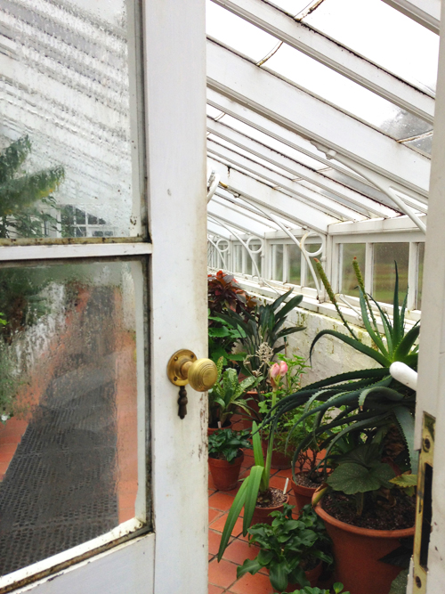 winterbourne_hot-house