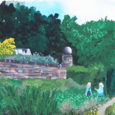 Anthemis an original gouache watercolour by Claire Leggett