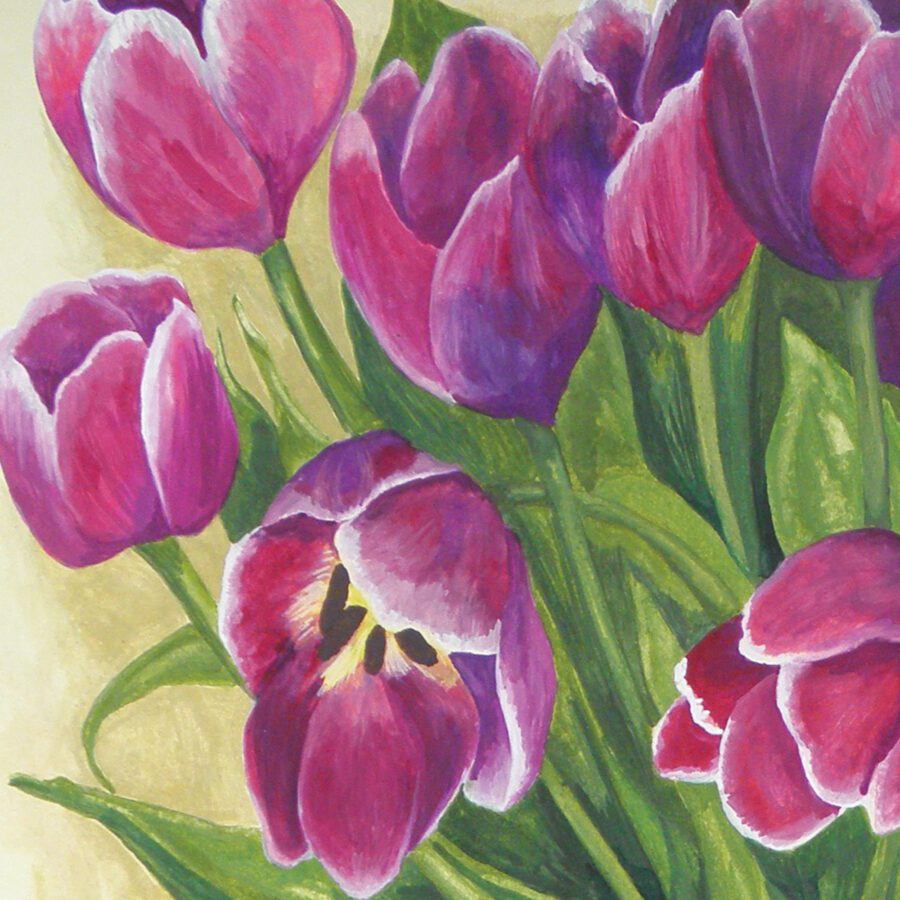 A Giclée Print of Magenta Tulips painted by Claire Leggett.