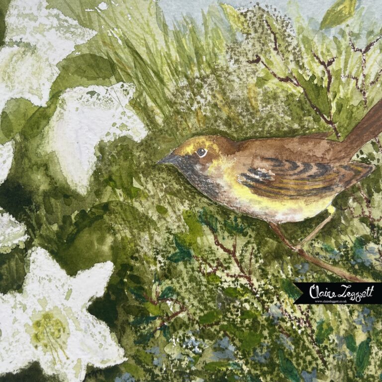 A gouache painting of a bird in hedgerow by © Claire Leggett.