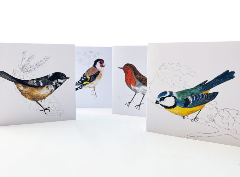 Four birds greeting cards from paintings by Claire Leggett