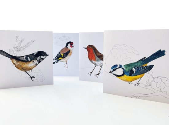 Four birds greeting cards from paintings by Claire Leggett