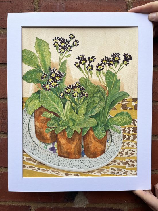 Black Primulas - original painting
